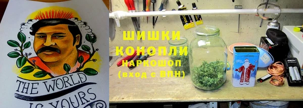 дживик Лихославль
