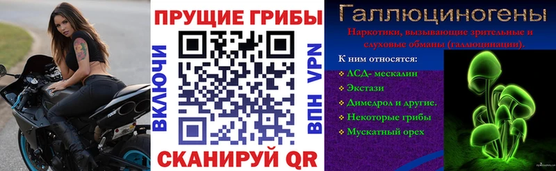 Галлюциногенные грибы Psilocybine cubensis  МЕГА ССЫЛКА  Жуков  сколько стоит 
